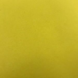 Meet your Posher, Shawn